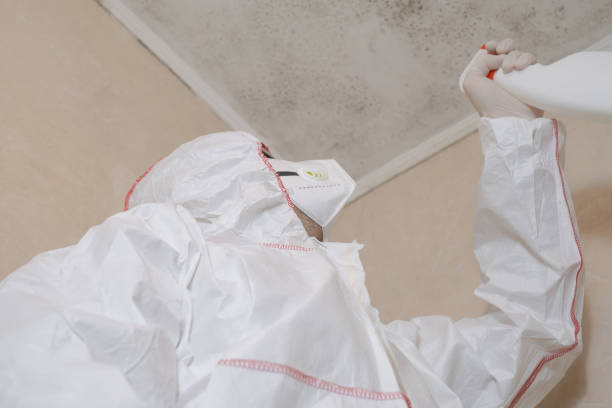 Best Certified Mold Removal  in Union Beach, NJ